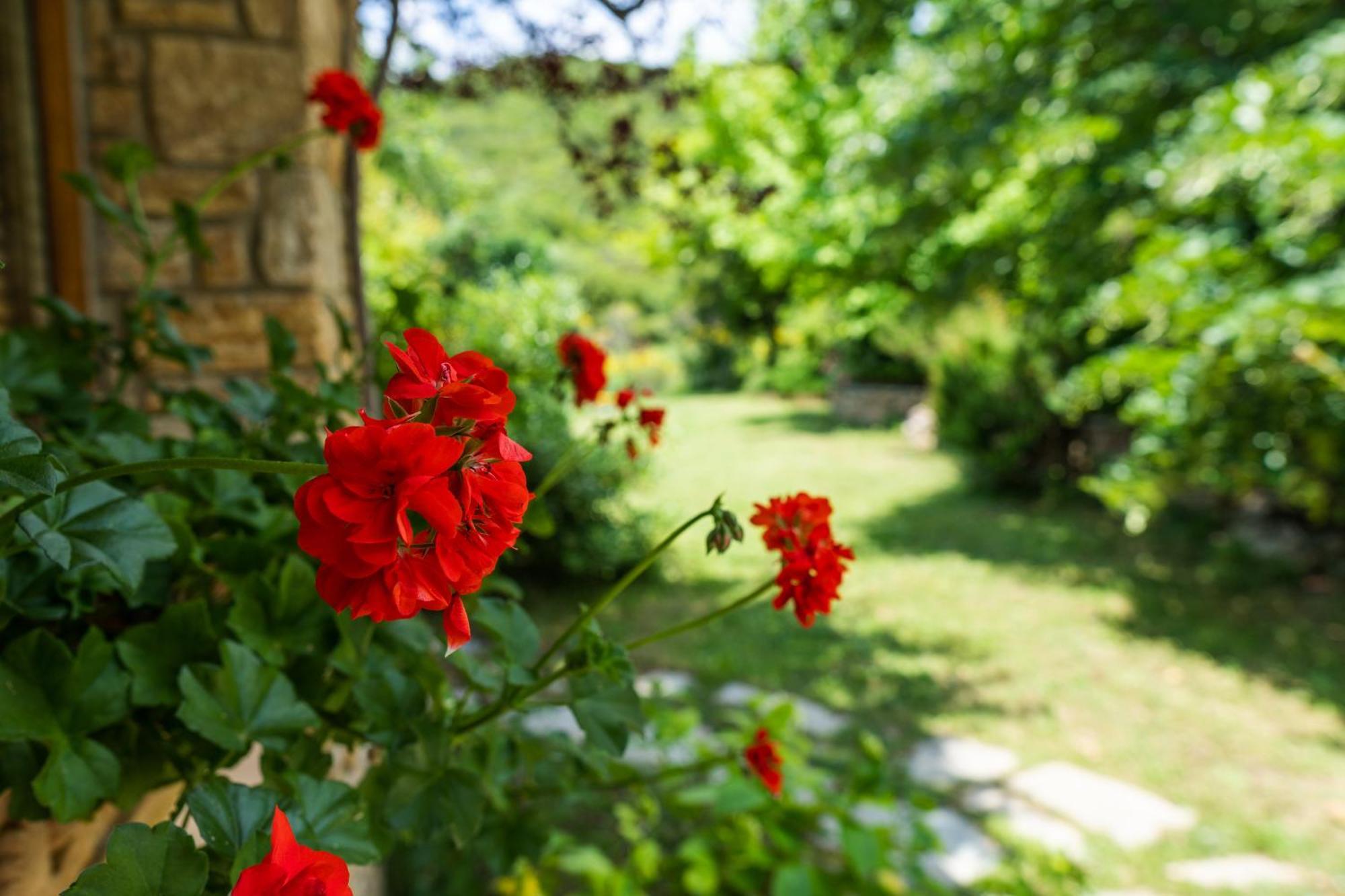Country Cottage I & Country Cottage II Polygyros Luaran gambar